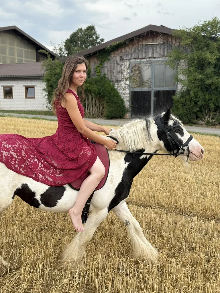Tinker-Stute Penelope ruhig in der Ponyhof-Herde in Renningen