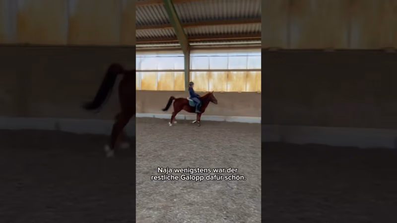 Als ich den perfekten Galopp filmen wollte passiert das… (Pferde-Fail)