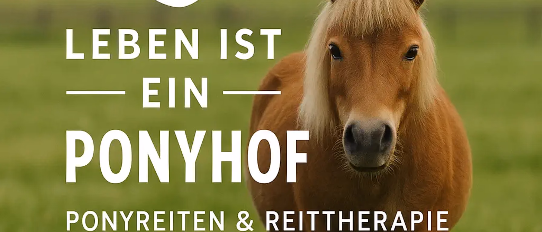 Reittherapie Böblingen & Sindelfingen | Heilpädagogisch begleitet in Renningen