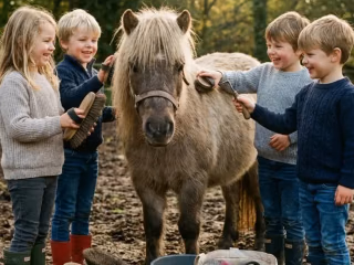 Gruppe Kinder putzt gemeinsam ein Pony auf einer sommerlichen Koppel