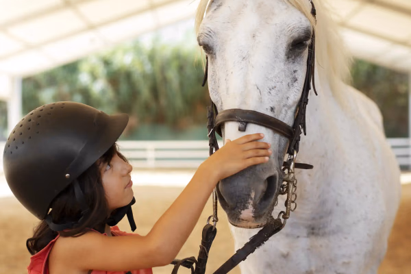 Kind erlebt eine geführte Pony-Zeit mit Ponys in Renningen.