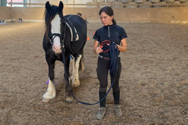 Junge Frau arbeitet ruhig mit einem Pony in der Reithalle.
