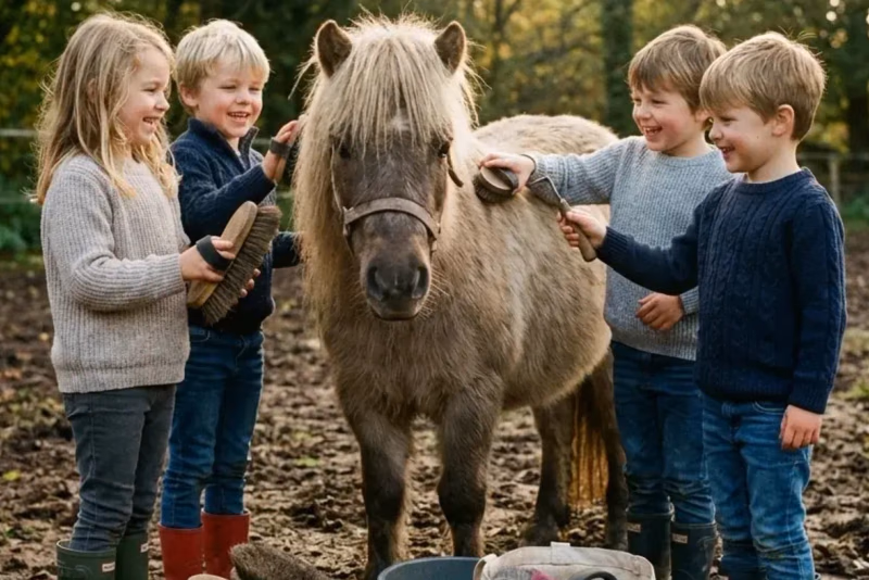 Gruppe Kinder putzt gemeinsam ein Pony auf einer sommerlichen Koppel