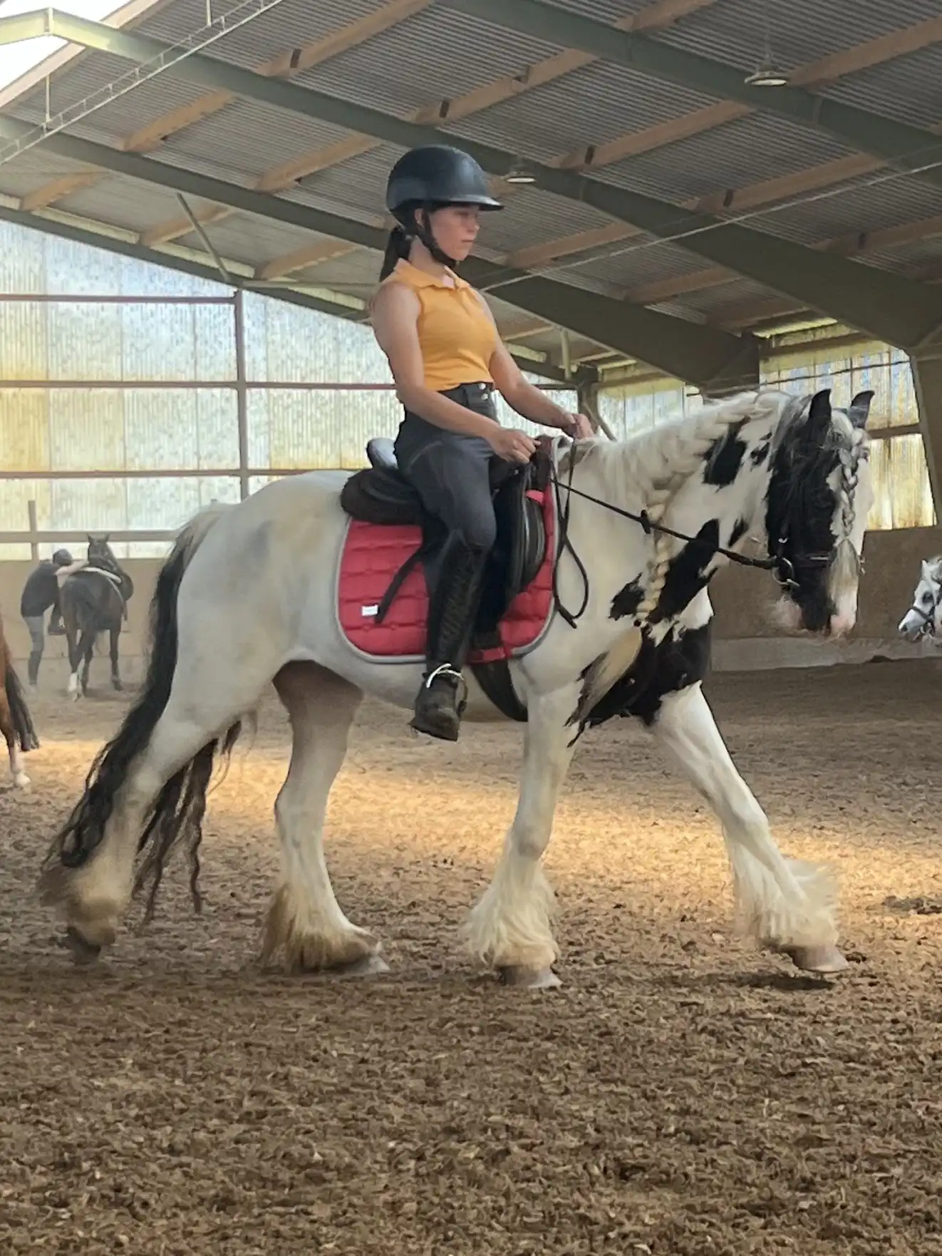 Sarah Handte - Staatlich anerkannte Erzieherin und Gründerin des Ponyhofs