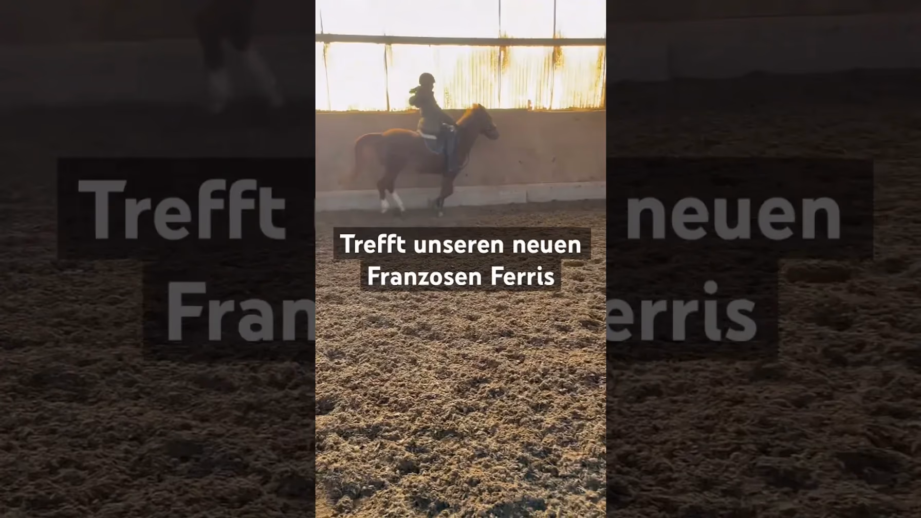 Vorschaubild: Ferris in Aktion! Fliegende Wechsel und Sprung über Hindernis