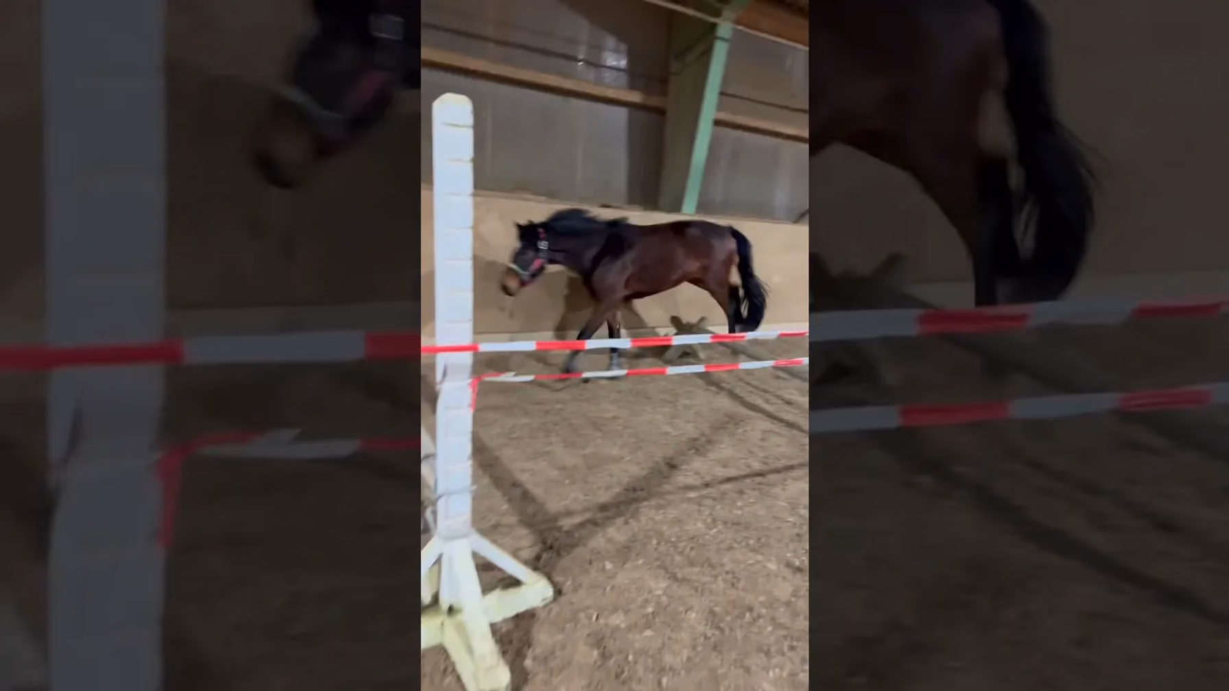 Vorschaubild: Kylo rasiert beim ersten richtigen Freispringen!
