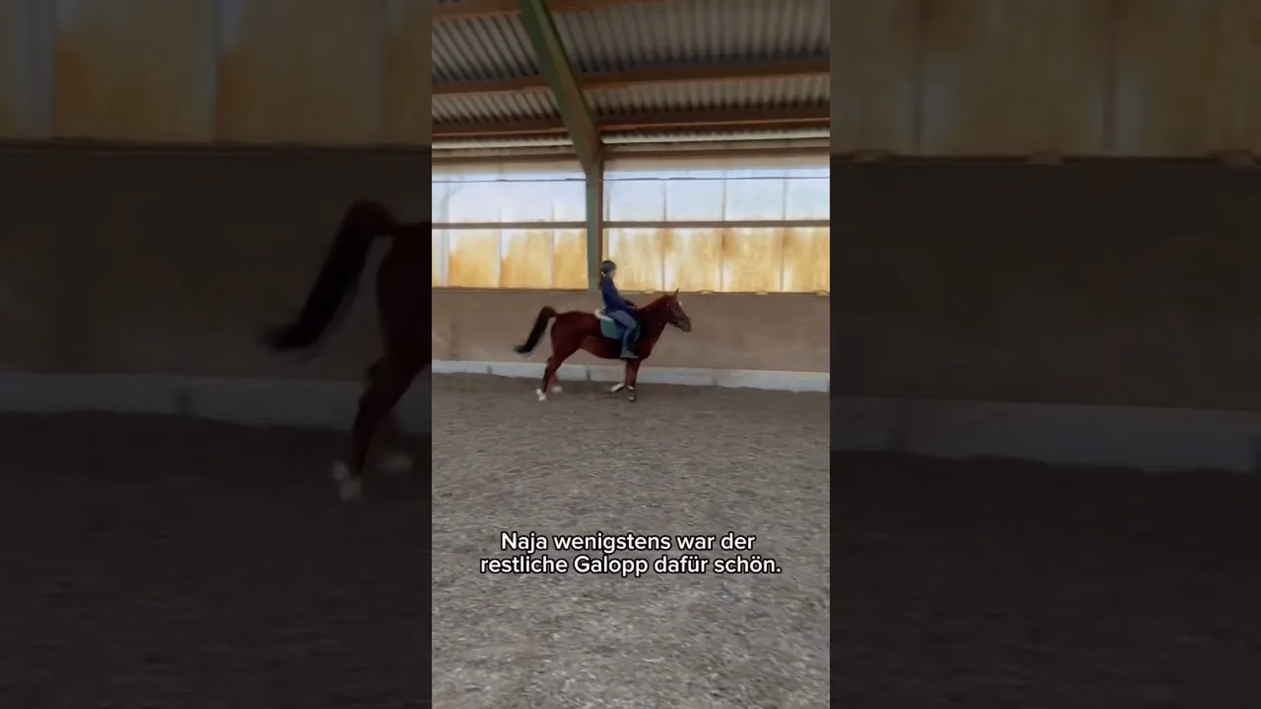 Vorschaubild: Als ich den perfekten Galopp filmen wollte passiert das… (Pferde-Fail)