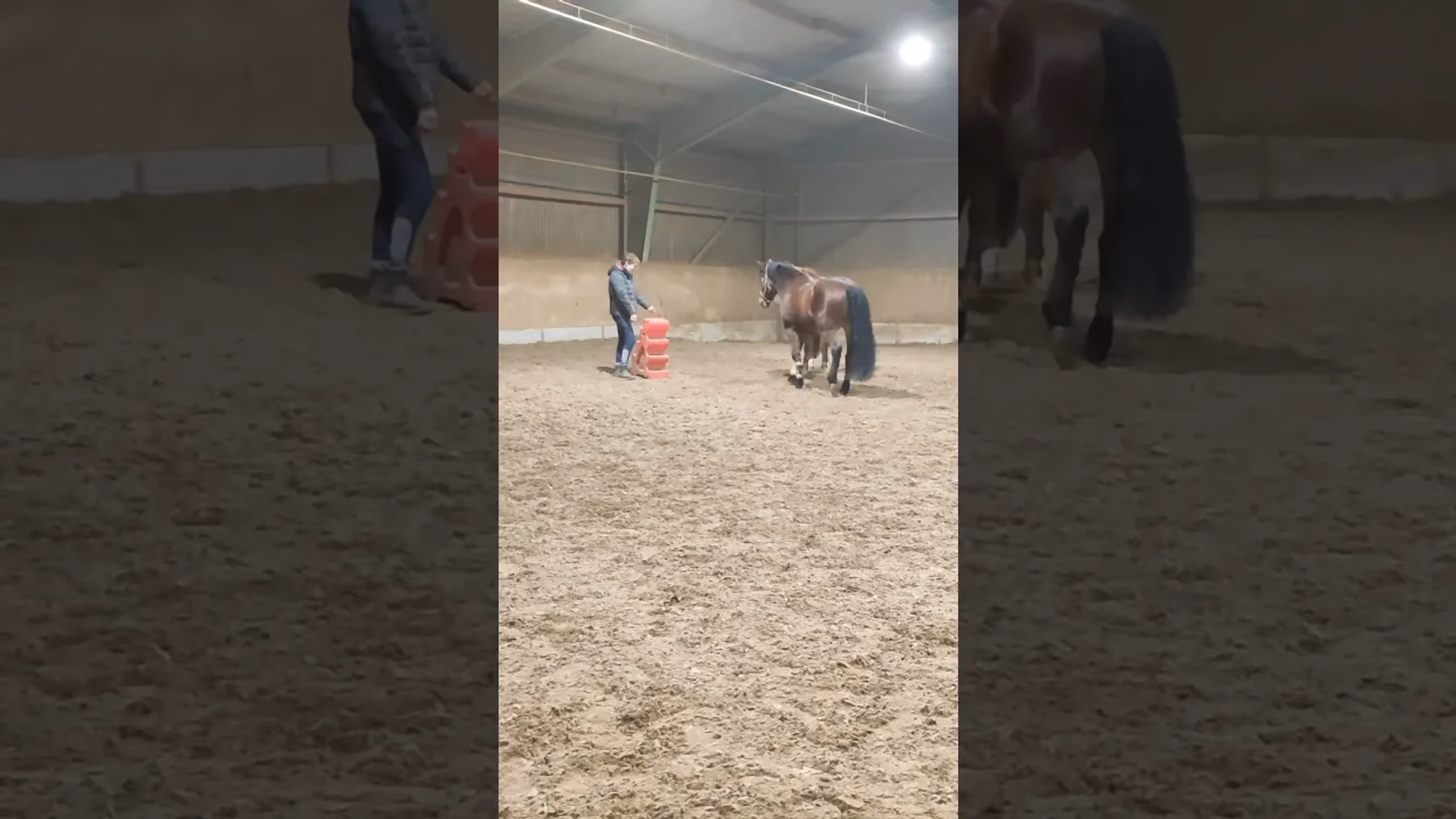 Vorschaubild: Pferd hat Respekt vor rotem Kasten... Sein Kumpel Balu macht ihn staunen