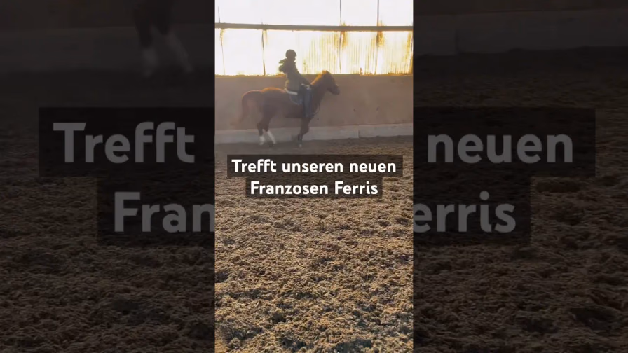 Vorschaubild: Ferris in Aktion! Fliegende Wechsel und Sprung über Hindernis