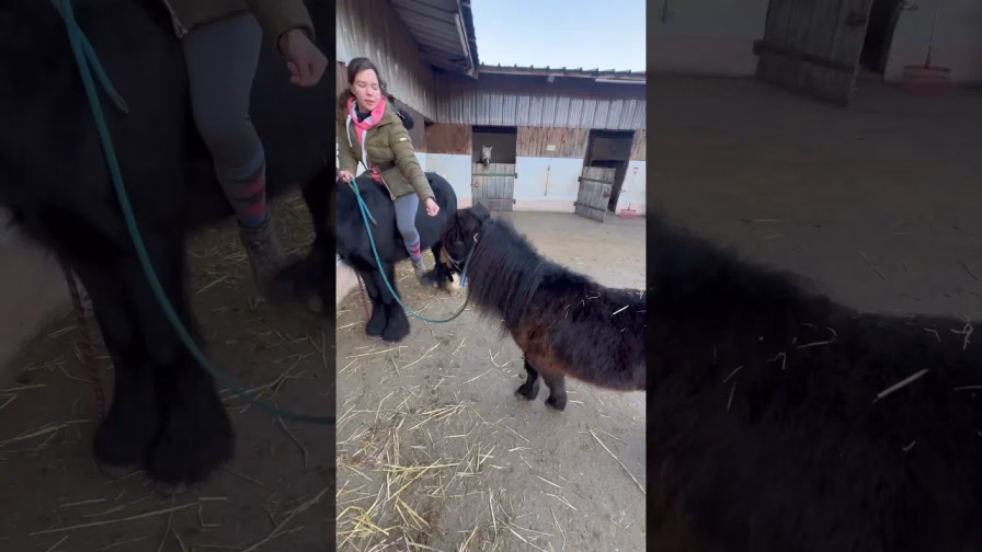 Vorschaubild: Pucki zeigt beeindruckende Tricks!
