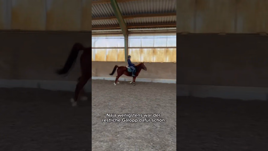 Vorschaubild: Als ich den perfekten Galopp filmen wollte passiert das… (Pferde-Fail)