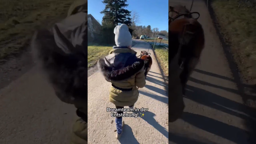 Vorschaubild: Puckis erster Schritt zum Kutschenprofi! | Shetty-Training mit Coco