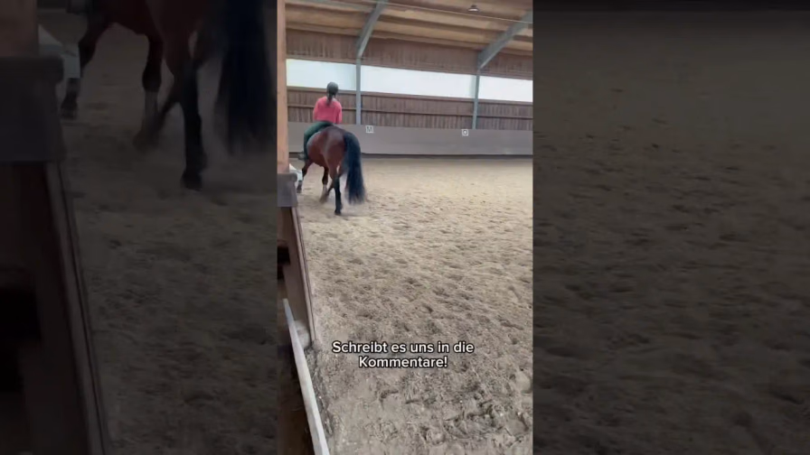 Vorschaubild: Sarahs erste Reitstunde mit Balu – wird das ein Dreamteam?