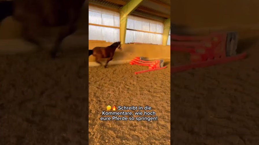 Vorschaubild: Balu im Höhenflug! Wird das ein Rekordsprung oder ein kompletter Abriss?