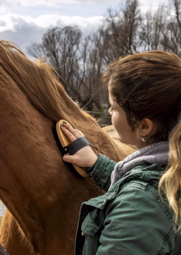 Ein Kind striegelt ruhig ein Pony auf unserem Ponyhof