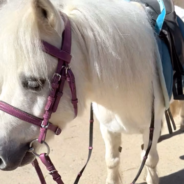 Shetty in ruhiger Nahaufnahme waehrend des Kindergeburtstags.