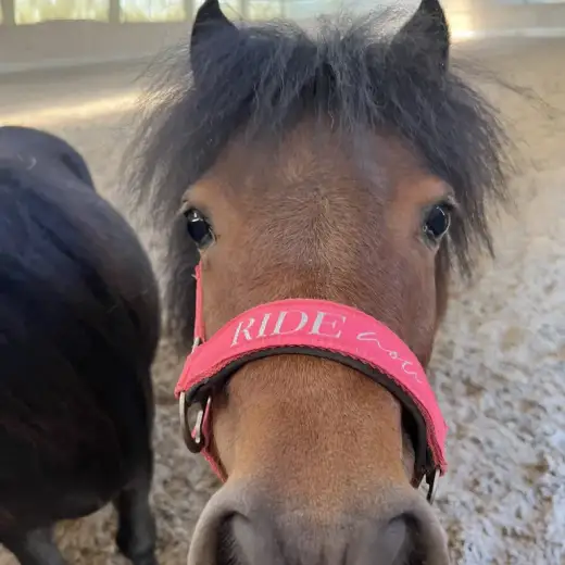 Coco