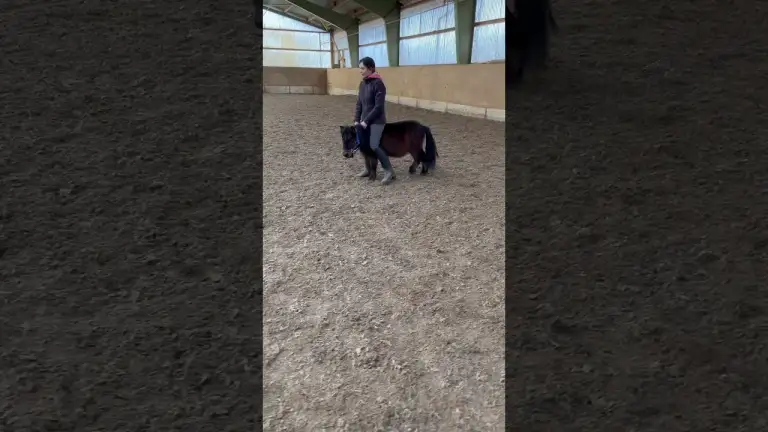 Unerwarteter Pony-Move: Seitwärtsgang überrascht alle! #PonyPower #horse
