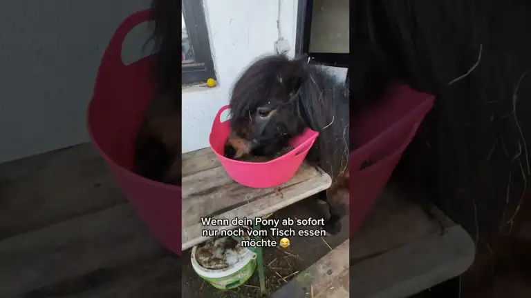 IHR WERDET NIE ERRATEN, WAS PUCKI NUN GELERNT HAT!