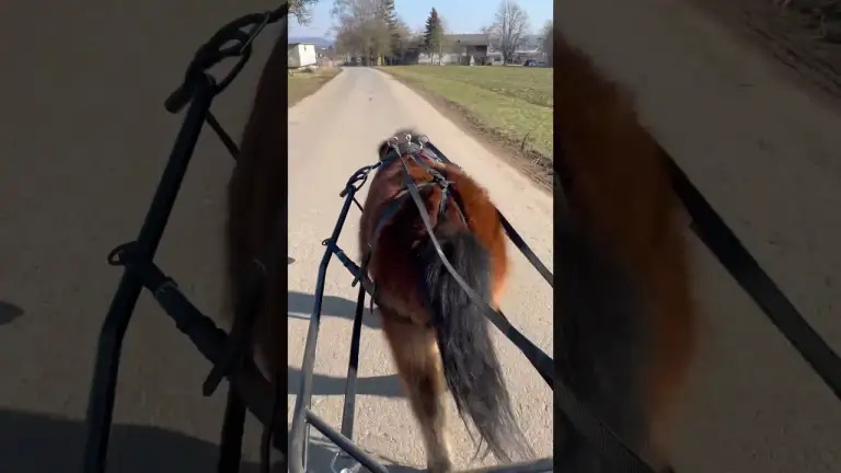 COCO im TURBO-MODUS! Du dachtest, es wird entspannt…