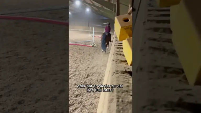 Sarahs erstes Mal mit Balu in der Springstunde!