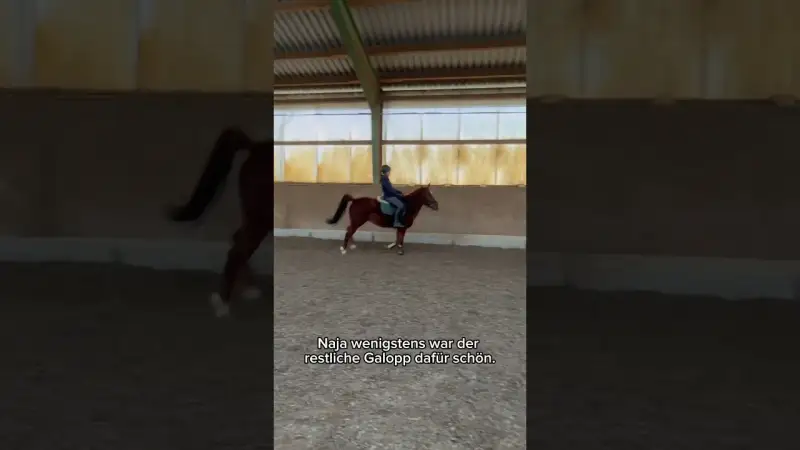Als ich den perfekten Galopp filmen wollte passiert das… (Pferde-Fail)