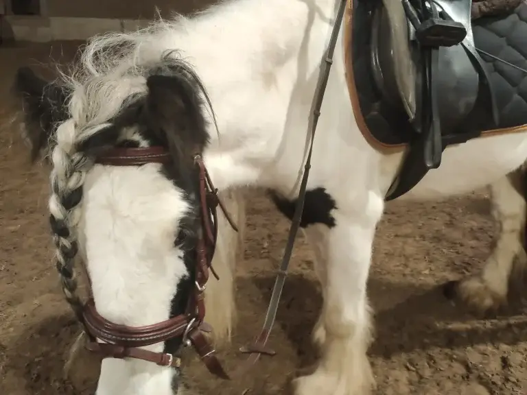 Fiona zeigt ihre natürliche Schönheit