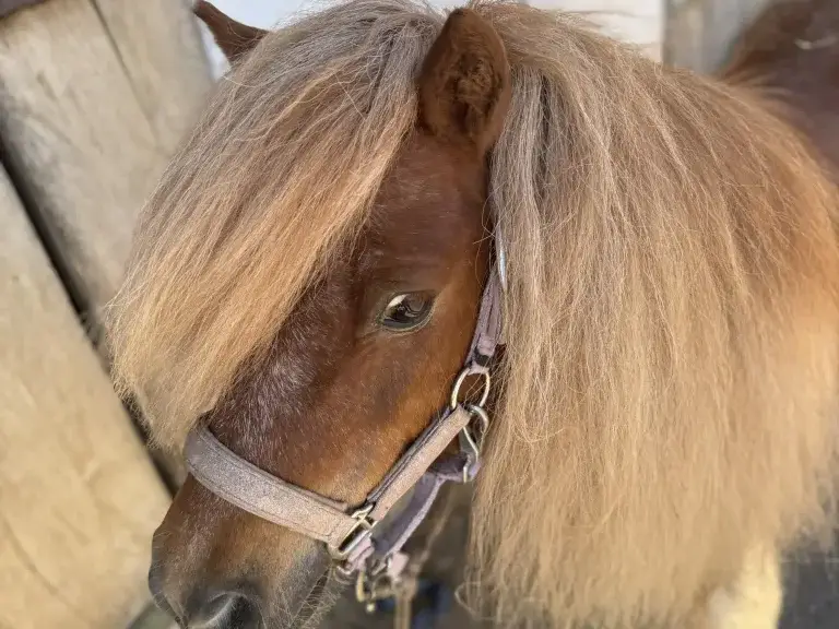 Ruffy zeigt seine neugierige Seite