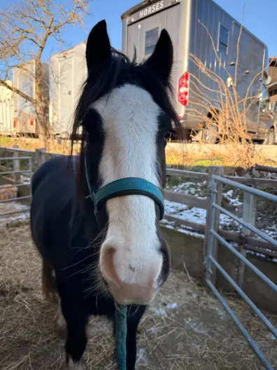 Lennox - Galeriebild 5