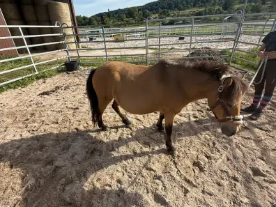 Quacky - Galeriebild 2