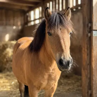 Quacky - Galeriebild 1