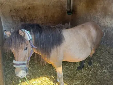 Quacky - Galeriebild 3