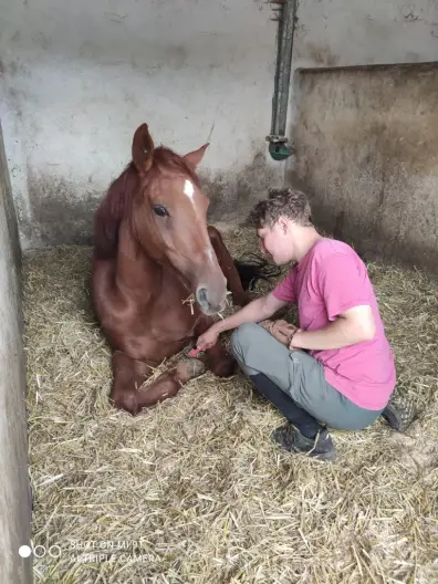 Simon - Galeriebild 2