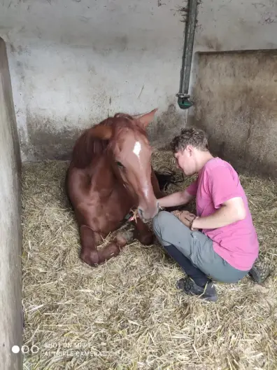 Simon - Galeriebild 3