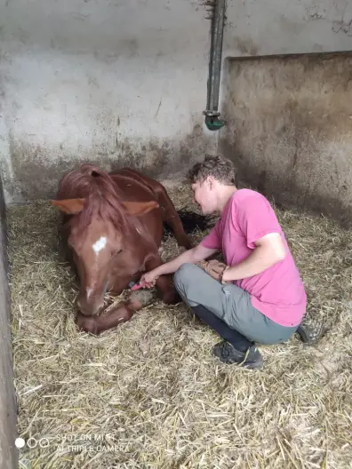 Simon - Galeriebild 4