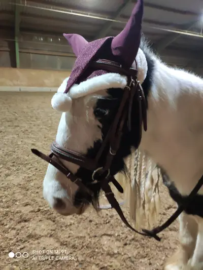 Fiona - Galeriebild 3