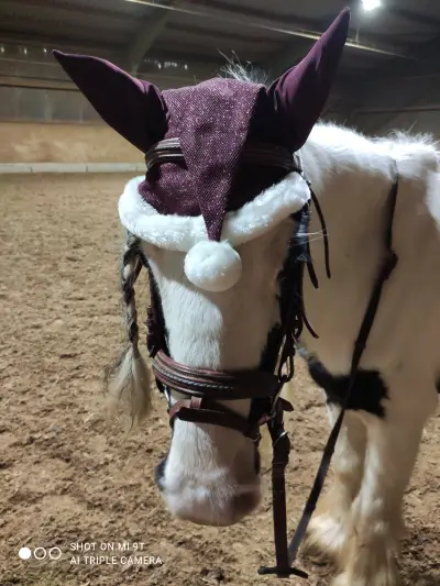 Fiona - Galeriebild 4