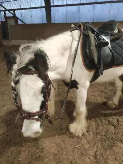 Fiona - Galeriebild 1