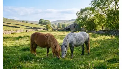 Ein Kind umarmt liebevoll den Hals eines Pferdes