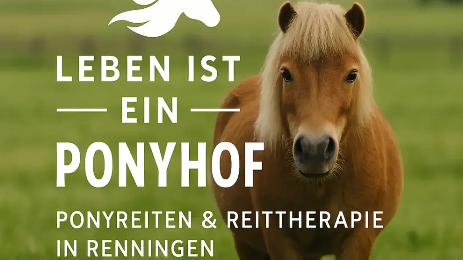 Die 5 besten Ausflugsziele für Familien in Stuttgart & Umgebung (Geheimtipps)