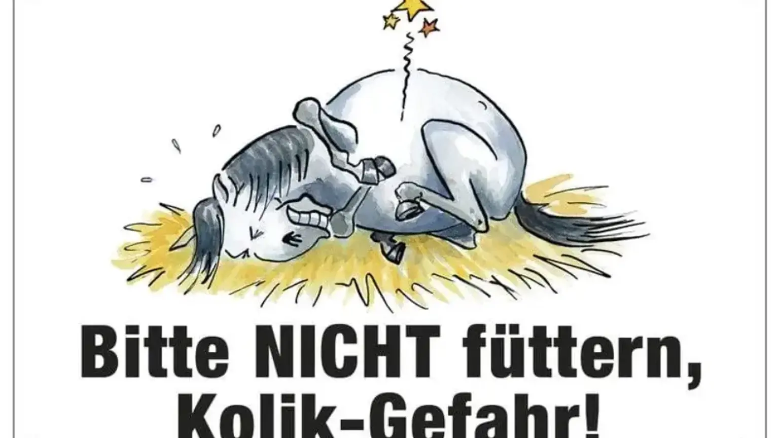 Ein Pony steht ruhig am Stall.