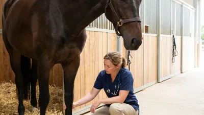 Ein Pony steht aufmerksam im Stall.