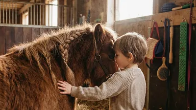 Ein ruhiger Moment zwischen Kind und Pony.