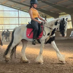 Sarah Handte - Staatlich anerkannte Erzieherin und IGOGO-Reittherapeutin bei Leben ist ein Ponyhof Renningen