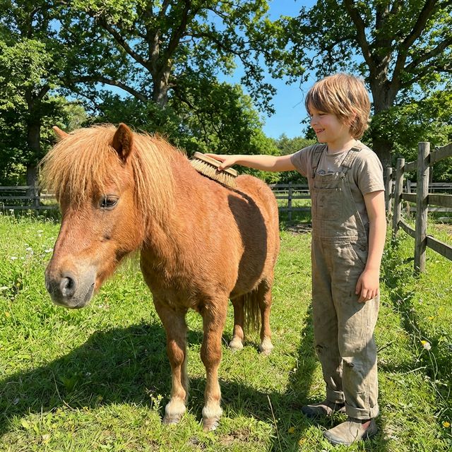 Ein achtjähriges Kind putzt an einem sonnigen Tag ein braunes Pony mit einer Wurzelbürste