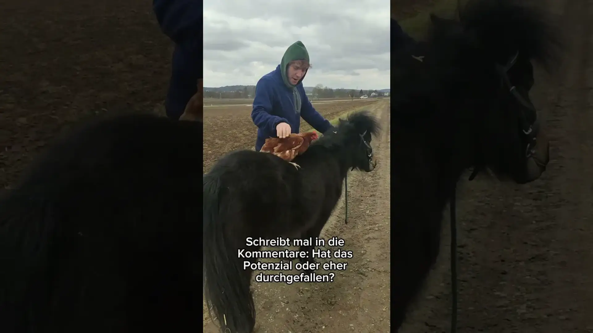 Vorschaubild: POV: Huhn reitet ein Pferd?! #funny #equestrian