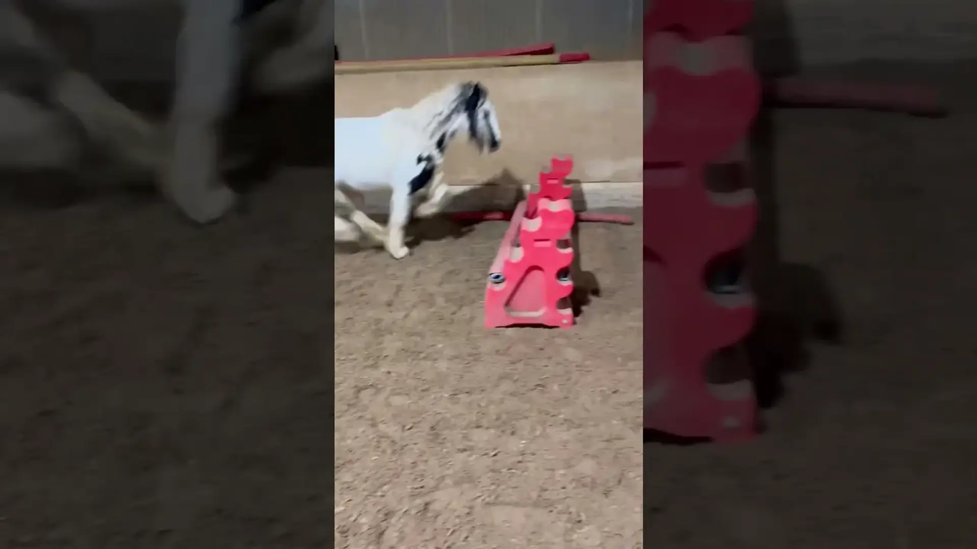 Vorschaubild: Wenn sie sagen Tinker können nicht springen...