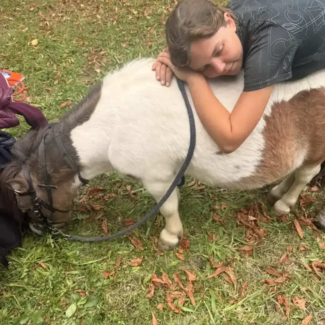 Kind lehnt sich ruhig an ein Pony auf dem Hof in Renningen.