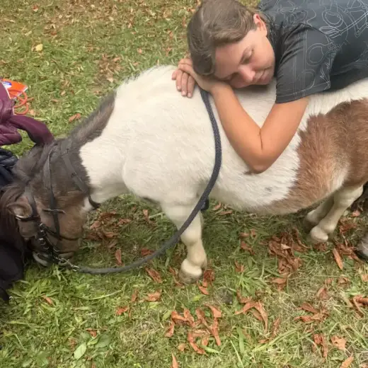 Kind lehnt sich ruhig an ein Pony auf dem Hof in Renningen.