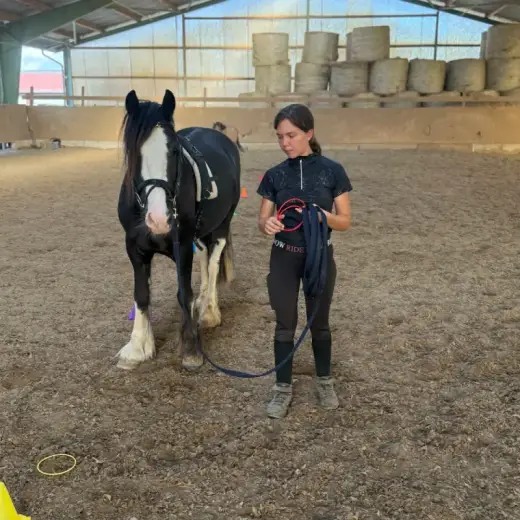 Junge Frau arbeitet ruhig mit einem Pony in der Reithalle.